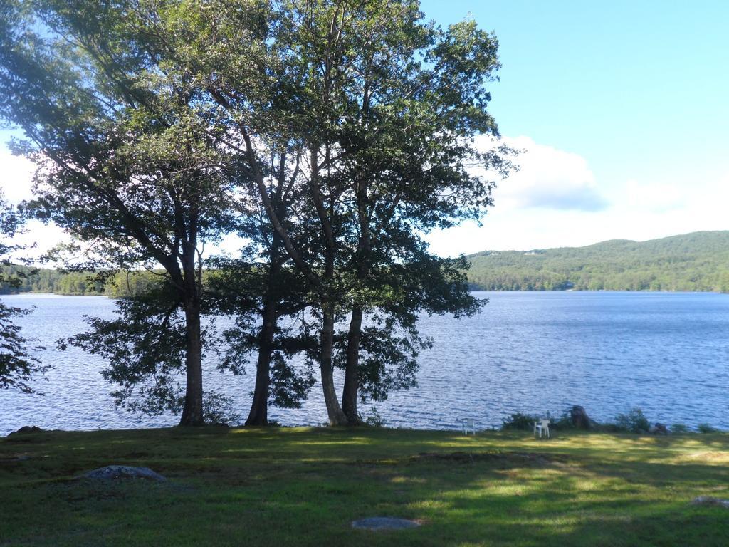 White Oak Motel & Cottages Holderness Bagian luar foto